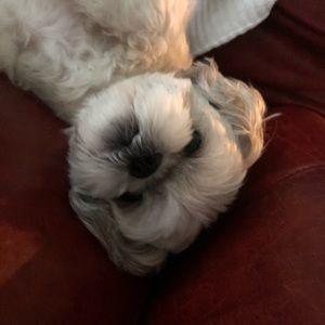 Meet your Posher, Thanos